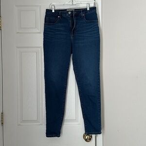 Everlane The Curvy High-Rise Skinny Jean Size 30 Dark Wash Classic Fit